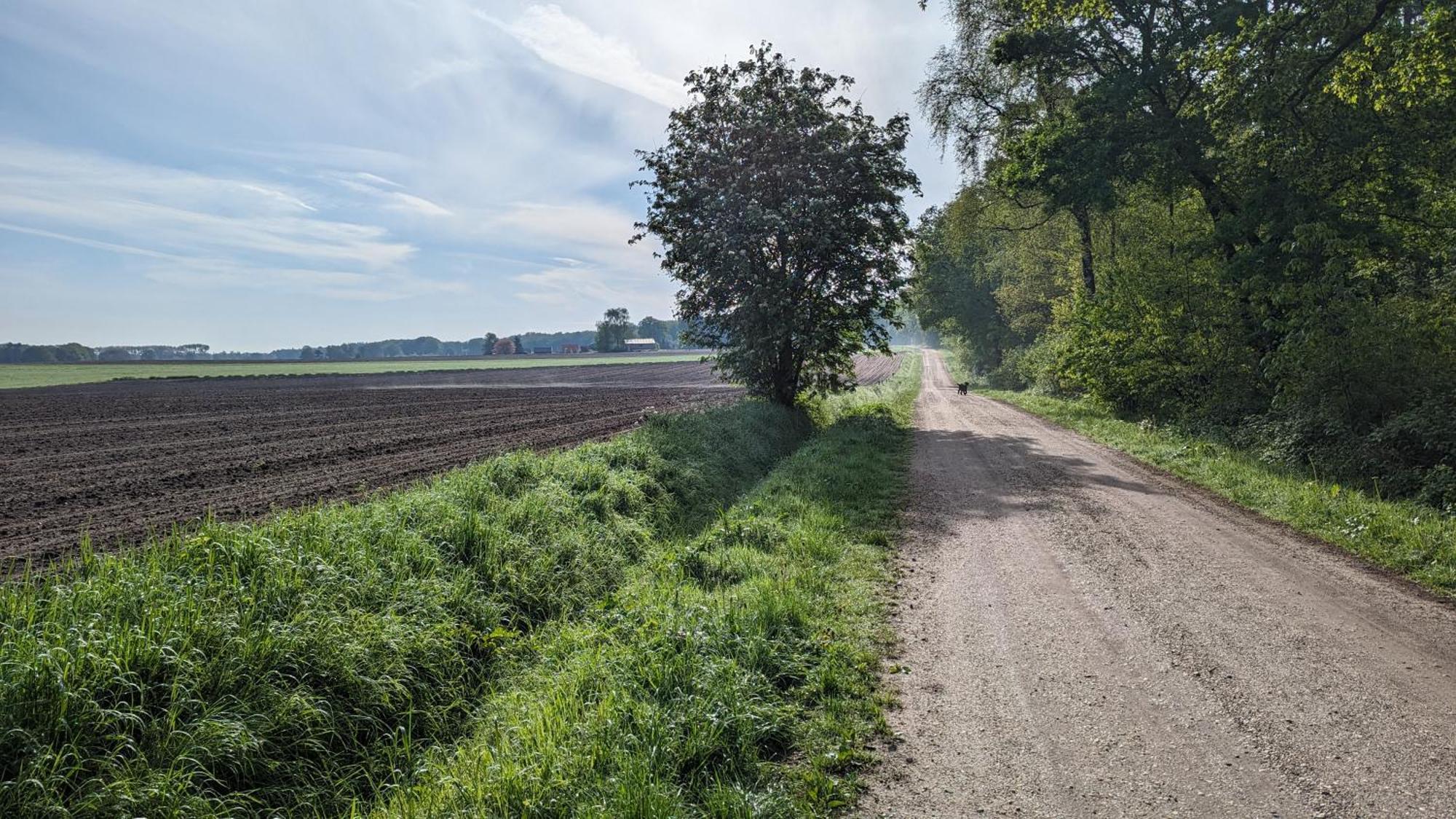 Luxe Bungalow "Zomeroord" Beekbergen Eksteriør bilde